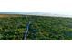 Aerial view of a boardwalk winding through lush coastal vegetation at 4153 S Atlantic Ave # 1030, New Smyrna Beach, FL 32169