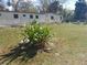 Mobile home with plants at 5149 Bryant Ave, Sanford, FL 32773