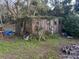 Overgrown yard with shed and plants at 5149 Bryant Ave, Sanford, FL 32773