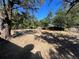 Large backyard with mature trees and open space at 5917 Wolf Rd, Orlando, FL 32808