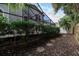 Landscaped backyard with a privacy hedge at 749 Silver Birch Pl, Longwood, FL 32750