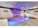 Indoor pool and spa with a unique painted ceiling at 3141 Oak Alley Dr, Apopka, FL 32703