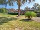 View of sprawling lawn with mature trees, palms, and meticulously maintained landscaping at 38207 Sabal Way, Umatilla, FL 32784