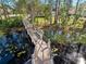 Elevated boardwalk path over water with lush green landscaping and homes at 10110 Royal Island Ct, Orlando, FL 32836