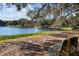 Peaceful lakeside bench with scenic view and Spanish moss at 26030 Newcombe Cir, Leesburg, FL 34748