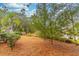 Spacious landscaped yard with mature trees and lush ground cover at 598 E Club Blvd, Lake Mary, FL 32746