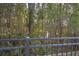 Wooded area view from behind a black metal fence at 1102 Victoria Glen Dr, Sanford, FL 32773