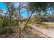 Pathway through the backyard at 3290 Red Fox Dr, Deltona, FL 32725