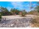 Vacant land with sandy terrain and sparse vegetation at 3290 Red Fox Dr, Deltona, FL 32725