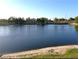 Tranquil lake view at 3700 Castle Pines Ln # 4032, Orlando, FL 32839