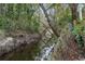 Peaceful creek bordering the property at 409 San Sebastian Prado, Altamonte Springs, FL 32714