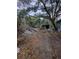 Overgrown yard with debris and a shed at 620 Cochran Rd, Geneva, FL 32732