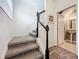 Gray carpeted stairs leading to upper level bathroom at 13651 Eridanus Dr, Orlando, FL 32828