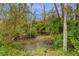 Small pond surrounded by lush vegetation at 8045 Happy Trl, Kissimmee, FL 34747