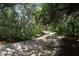 Walking path through lush, natural landscape at 8511 La Isla Dr, Kissimmee, FL 34747