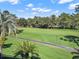 Lush green golf course with palm trees and walking path at 9512 Tavistock Rd, Orlando, FL 32827