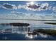 Expansive lake view under a sunny, cloudy sky, with grassy shoreline, capturing natural beauty at 14101 Vista Del Lago Blvd, Clermont, FL 34711
