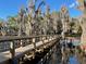 Scenic wooden bridge over tranquil lake surrounded by moss-covered trees, reflecting serene waters at 14101 Vista Del Lago Blvd, Clermont, FL 34711