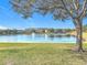 Tranquil lakefront view with lush greenery at 812 Park Grove Ct, Orlando, FL 32828