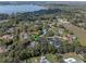 Aerial view shows the property is nestled within lush greenery near a lake at 9501 Hempel Cove Blvd, Windermere, FL 34786