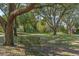 Wooden backyard swing hanging from a mature oak tree providing a relaxing outdoor escape at 9501 Hempel Cove Blvd, Windermere, FL 34786