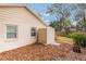 Backyard with storage shed and landscaping at 117 E Goodheart Ave, Lake Mary, FL 32746