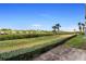 Spacious backyard with grassy area and water views at 432 Bouchelle Dr # 102, New Smyrna Beach, FL 32169