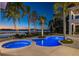 Night time view of the pool and spa at 9122 Bay Point Dr, Orlando, FL 32819