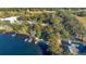 Aerial view showcasing lakefront homes and boats at 4108 Downeast Ln, Windermere, FL 34786