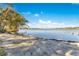 Calm waterfront view with sandy shoreline and clear sky at 4108 Downeast Ln, Windermere, FL 34786