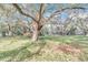 Large grassy area with mature oak trees at 11431 Nw 100Th St, Ocala, FL 34482