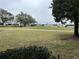 Community view showcasing homes and green space at 250 Joanne Dr, Davenport, FL 33897