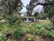 Overgrown yard and small house at 1504 Laun Pl, Lakeland, FL 33803