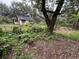 View of the house from the yard with overgrown plants at 1504 Laun Pl, Lakeland, FL 33803