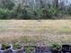 Backyard with patchy grass and potted plants at 3384 Yellowtop Loop, Clermont, FL 34714