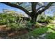 Landscaped backyard with a large oak tree and screened porch at 506 N Dillard St, Winter Garden, FL 34787