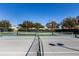 Community pickleball courts with surrounding trees at 3566 Tropical Seas Loop, Tavares, FL 32778