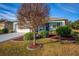 Curb appeal with a tree and well-manicured lawn in front of a light blue house at 8134 Sw 78Th Terrace Rd, Ocala, FL 34476