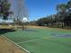 Outdoor basketball court with green surface and markings at 9657 Pacific Pines Ct, Orlando, FL 32832