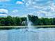 Water fountain in a lake surrounded by lush trees at 9657 Pacific Pines Ct, Orlando, FL 32832