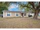 Tan house with blue door, white shutters, and a large tree in the front yard at 1404 Adair St, Ocoee, FL 34761