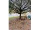 Backyard with large tree and seating area at 15269 Galbi Dr, Orlando, FL 32828