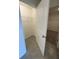 Walk-in closet featuring wire shelving and neutral carpet at 8864 Sw 49Th Cir, Ocala, FL 34476