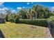 Spacious backyard with well-manicured lawn and hedge at 161 Old Moss Cir, Deland, FL 32724