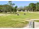 Scenic view of Eagle Dunes golf course with lush green fairways and players enjoying a round of golf at 33925 Terragona Dr, Sorrento, FL 32776