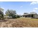 Large backyard with shed and open space at 38100 Ricker Dr, Lady Lake, FL 32159