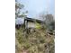 Overgrown backyard with storage shed and various debris at 5238 Macadamia Ct, Orlando, FL 32818