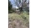 Overgrown backyard with a wooden fence at 5238 Macadamia Ct, Orlando, FL 32818