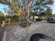 Backyard featuring a picnic table and outdoor area for gatherings at 6254 Balboa Dr, Orlando, FL 32808