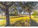 Landscaped backyard with mature trees and tranquil lake views at 2132 Darlin Cir, Orlando, FL 32820